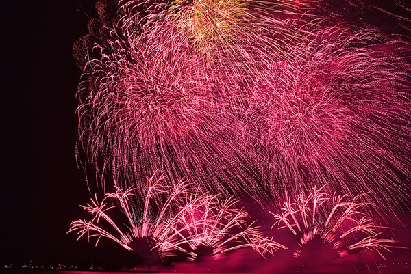 firework creating a pink sky