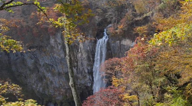 waterfall in the autumn season