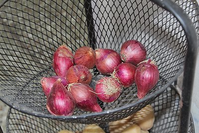 onions in a tray