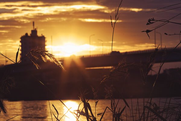 Sunset behind the bridge