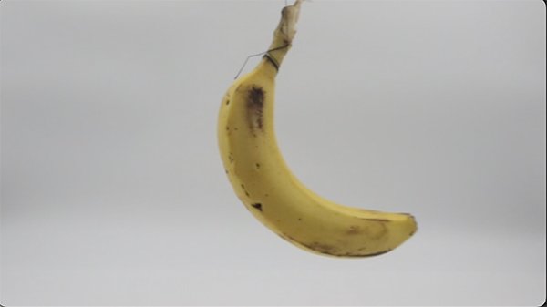 banana hanging with a string