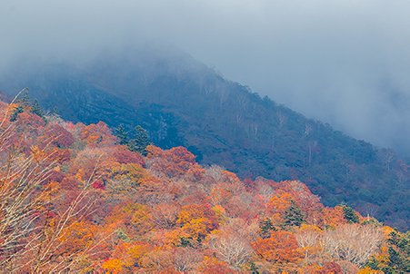 mountain with colorful autumn trees