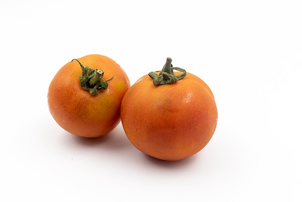 Tomatoes in a white background