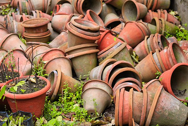 flower pots in the garden