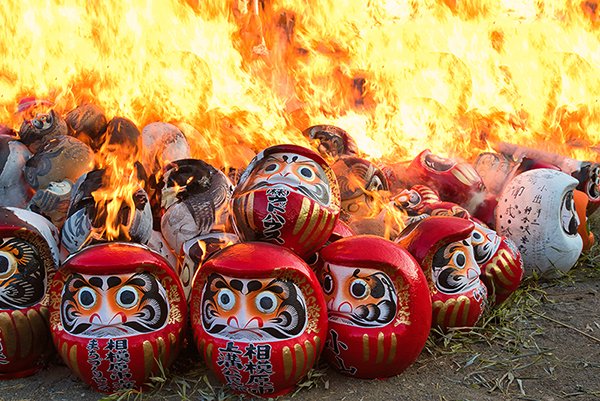 burning big sized daruma dolls