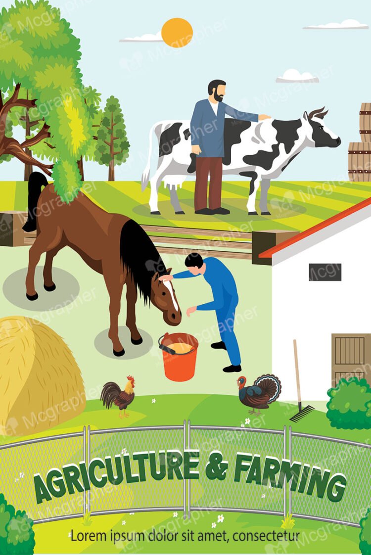 A view of humans feeding horses and cattle