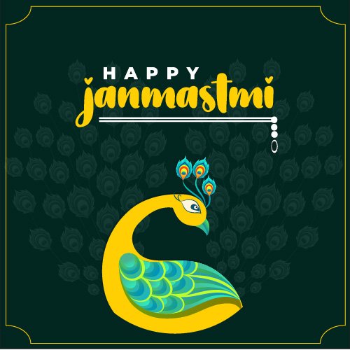 Krishna Janmashtami and yellow peacock