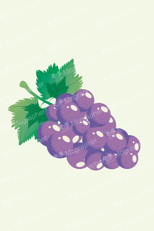 Purple grapes with green leafs and soft background