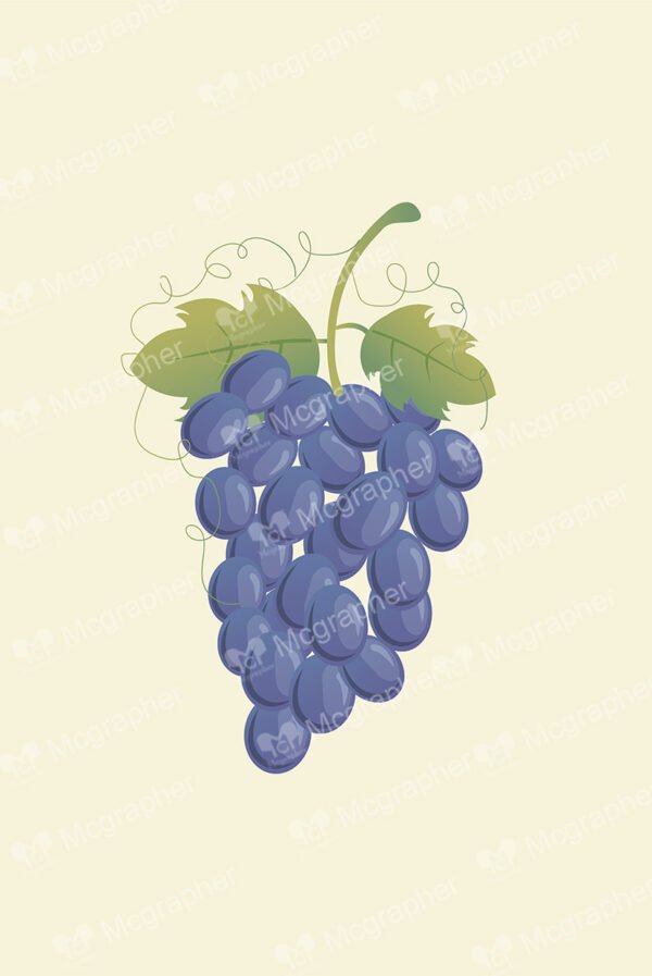 Purple grapes with green leafs on a light background