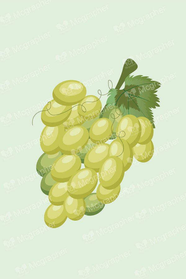 Green grapes with green leafs