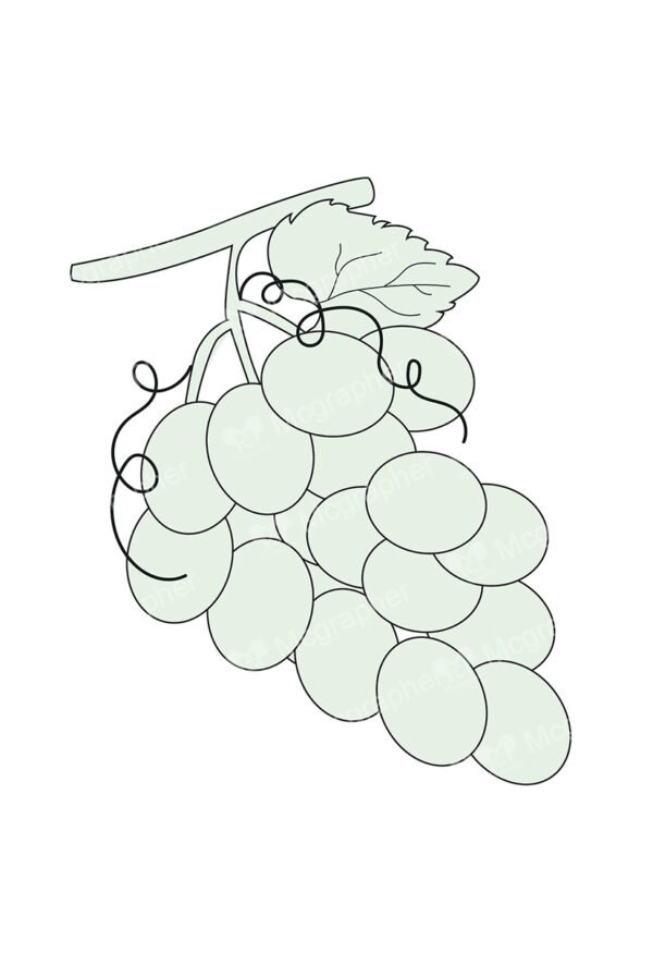 Single coloured grapes