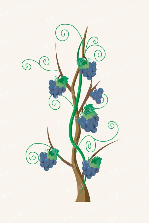 Fresh grapes tree on a soft background