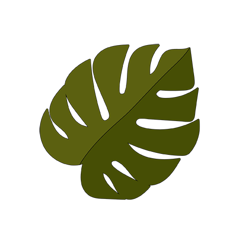 Dark green big leaf png