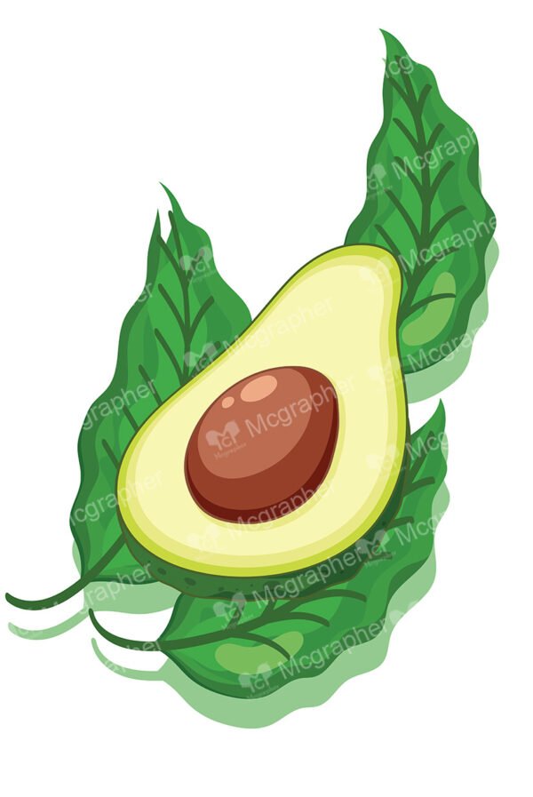 Avocado with leafs on a white background