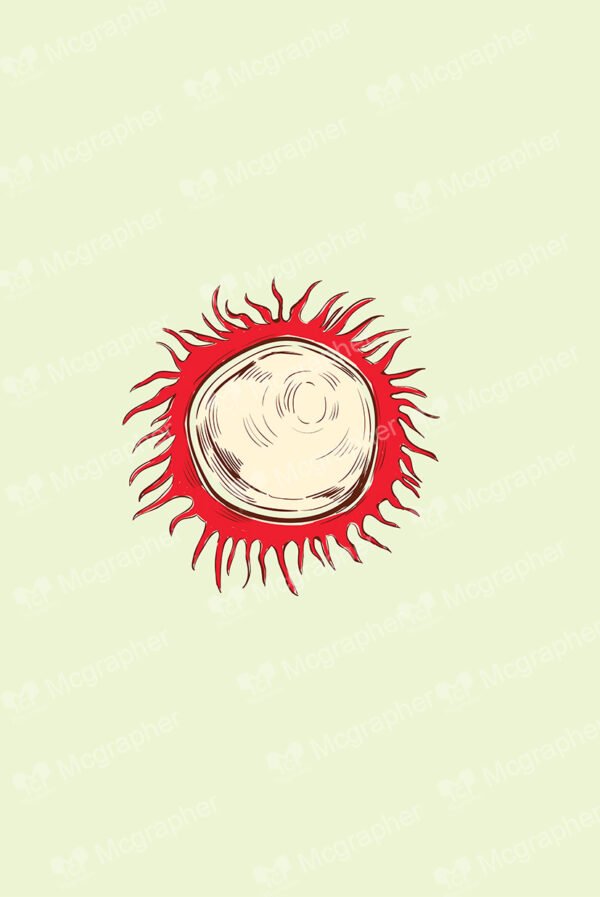 top view of a rambutan on a soft background