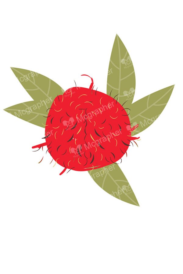 Rambutan with leafs and white background