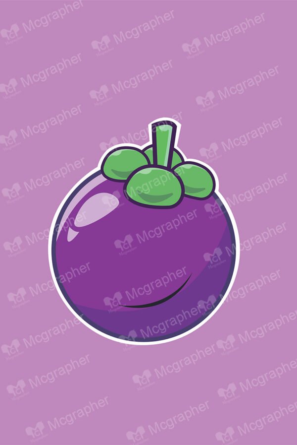 Shiny mangosteen on a purple background