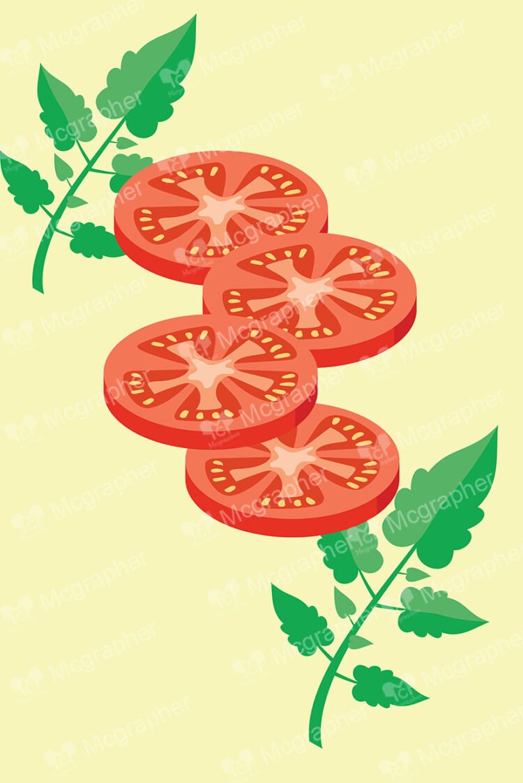 Slices of a tomato and green leafs