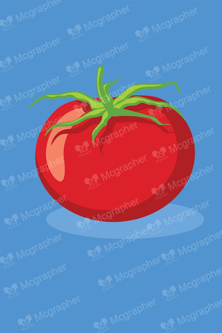 Tomato on a blue background