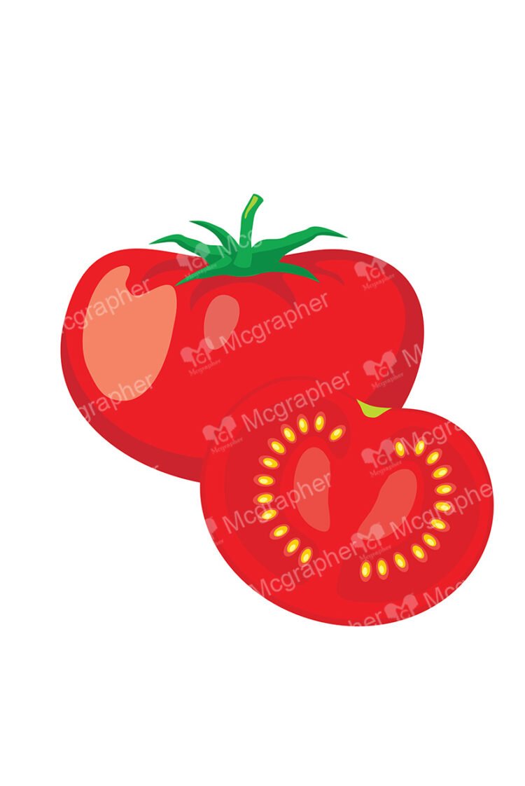 Pair of a tomato on a white background