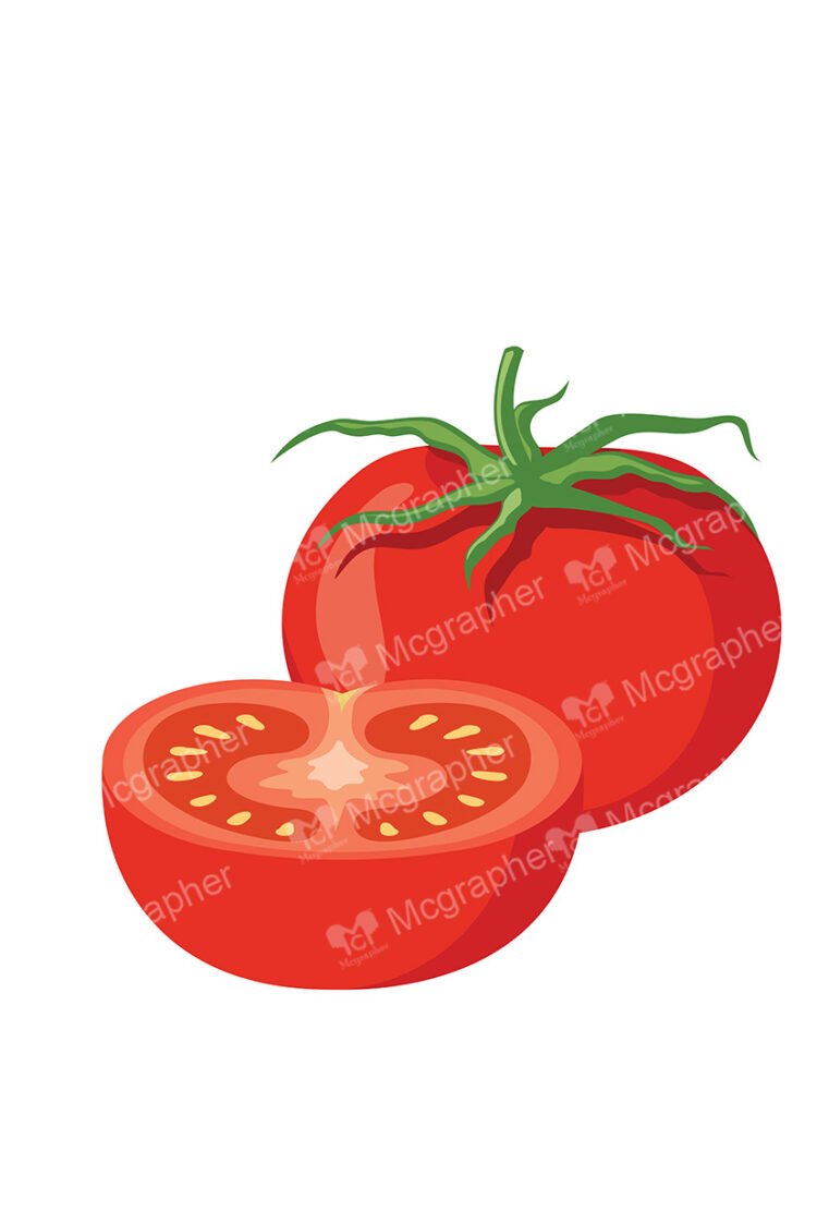 Tomato with a slice on a white background