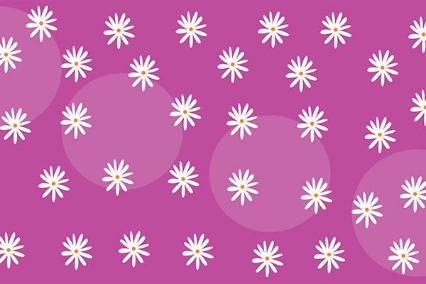 Pink background and white flowers