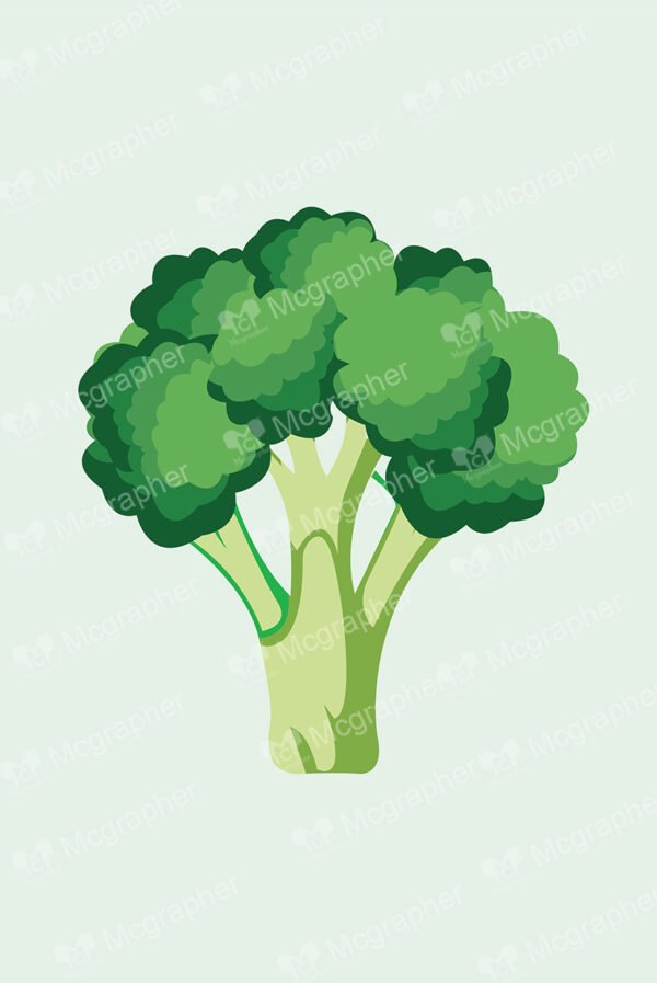 Broccoli with three stems