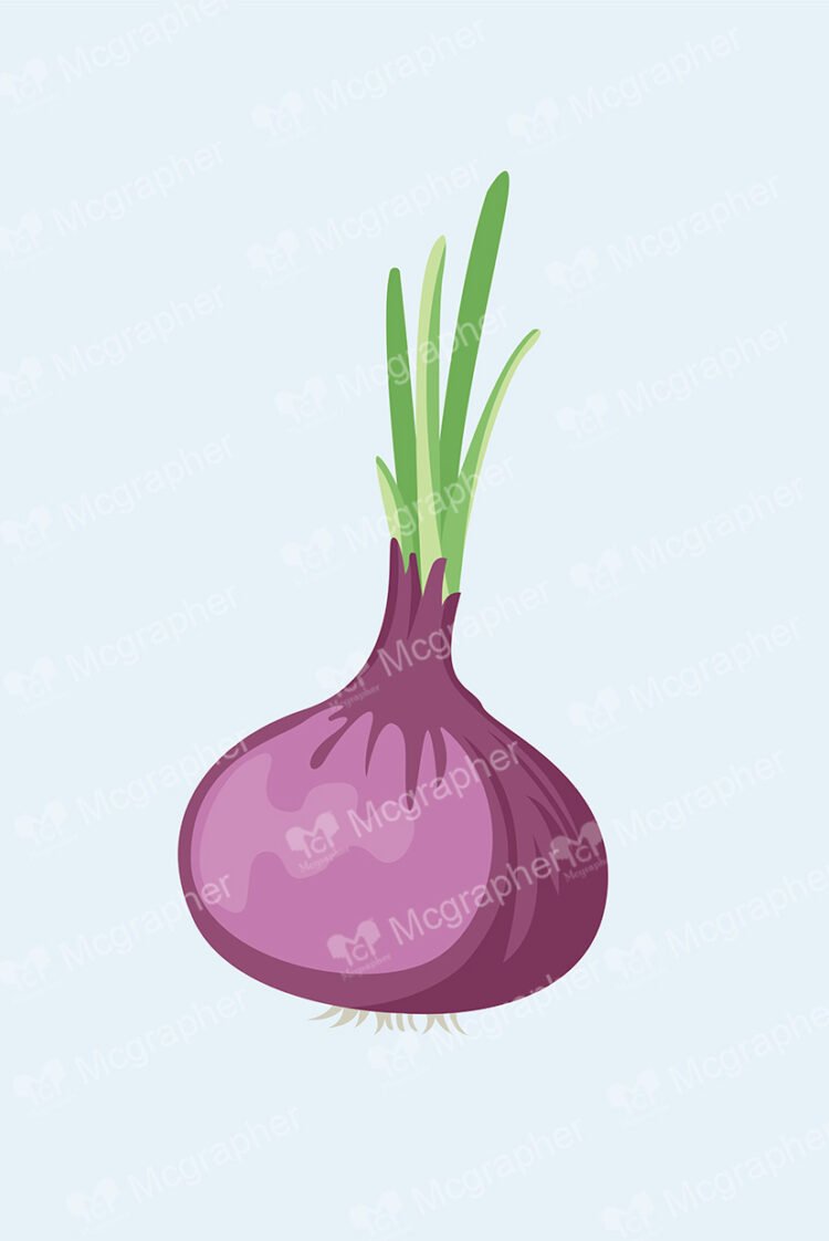 Onion on a soft background