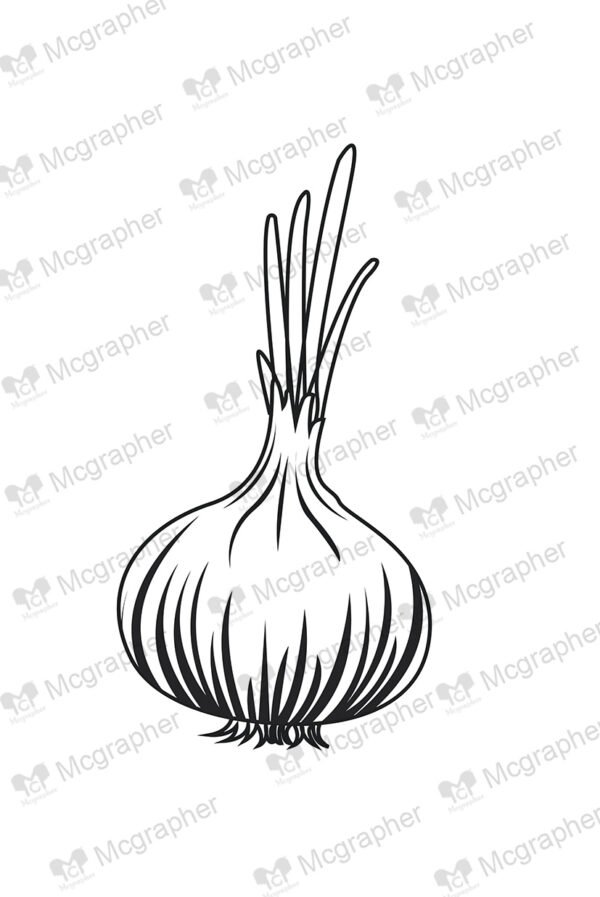 Black and white onion