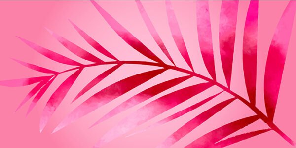 Pink Background with highlighted leaf