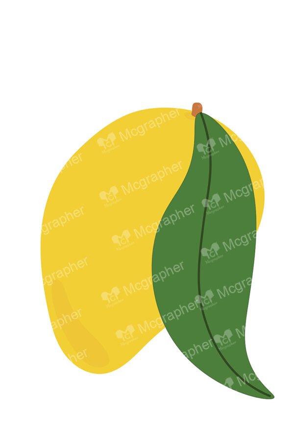 Mango with leaf on a white background