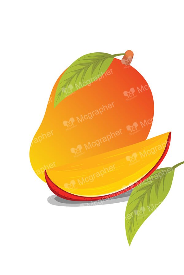 Mango with a slice on a white background