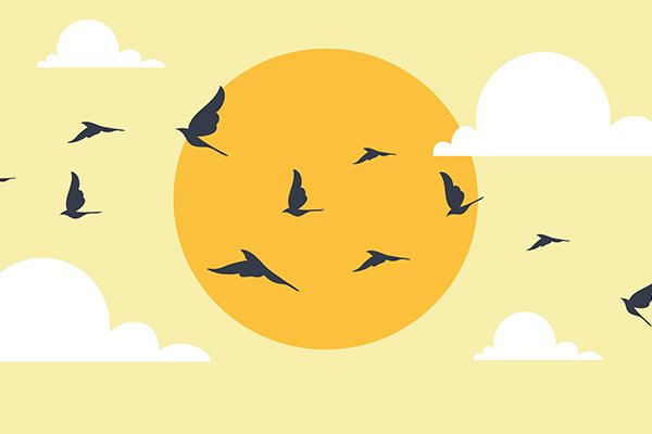 Background with Sun and birds