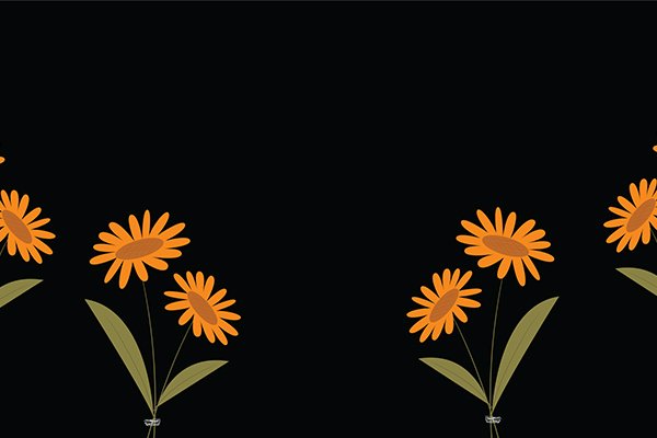 Black Background and sun flowers