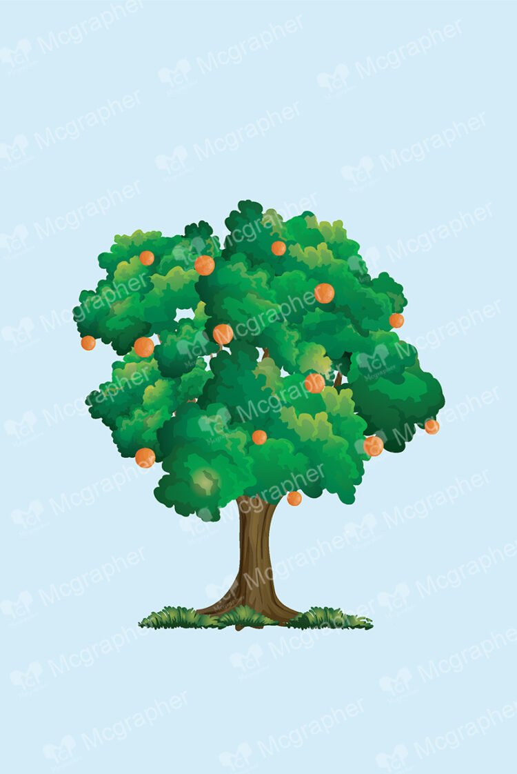 Orange Tree