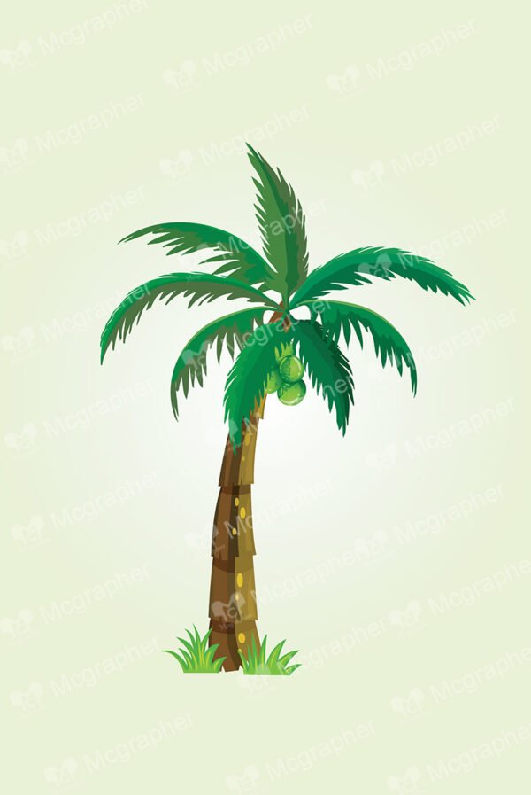 Tall coconut tree