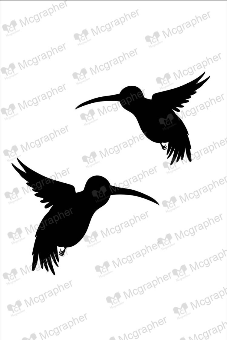 Pair of birds flying silhouette