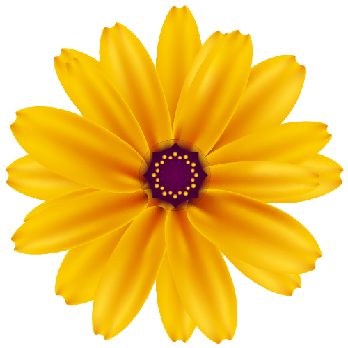 Yellow colour flower png