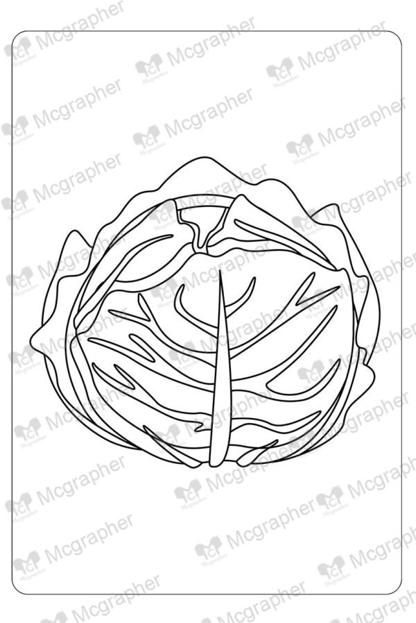 Lettuce colouring image