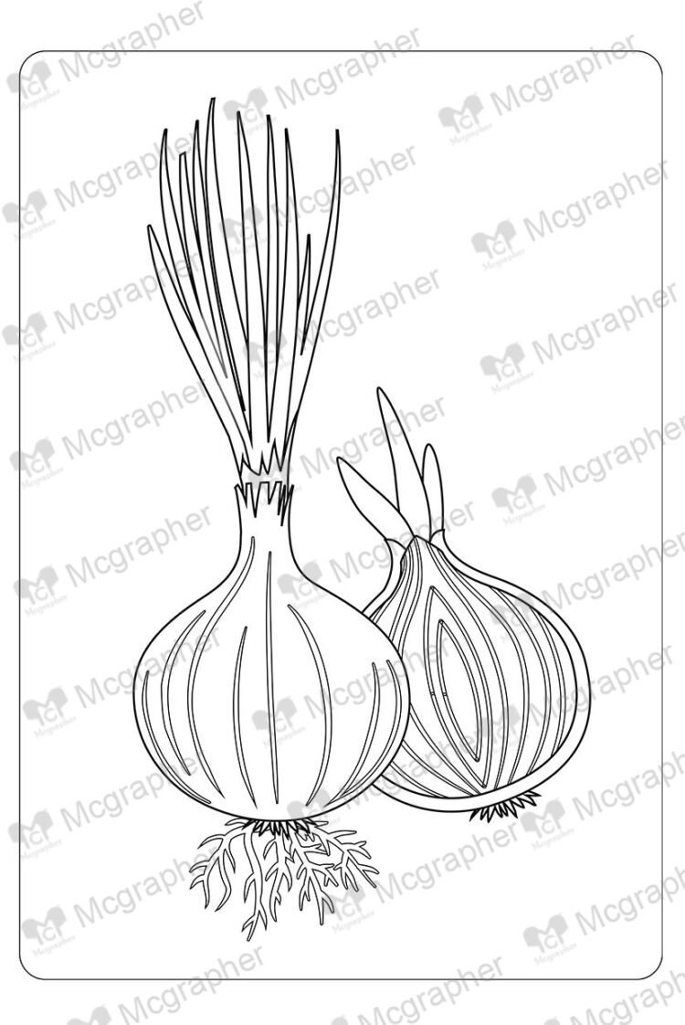 Onion colouring image