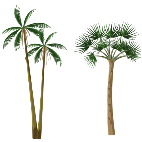 Pair of trees free png