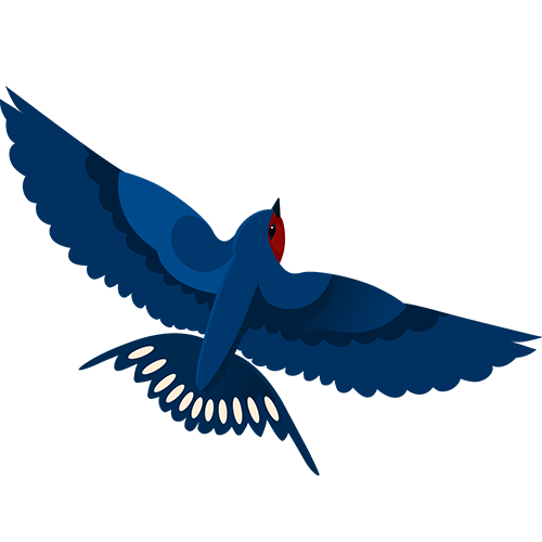 Blue bird flying free png