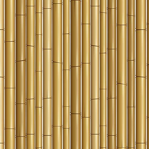 Bamboo Texture