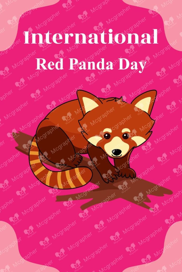 World Red Panda Day save vector illustration