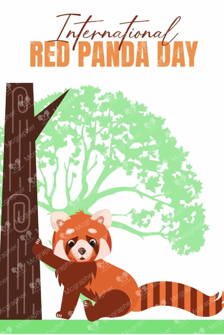 International Red Panda Day illustration