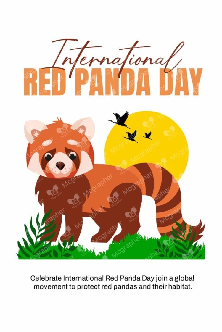 International Red Panda Day Wildlife illustration