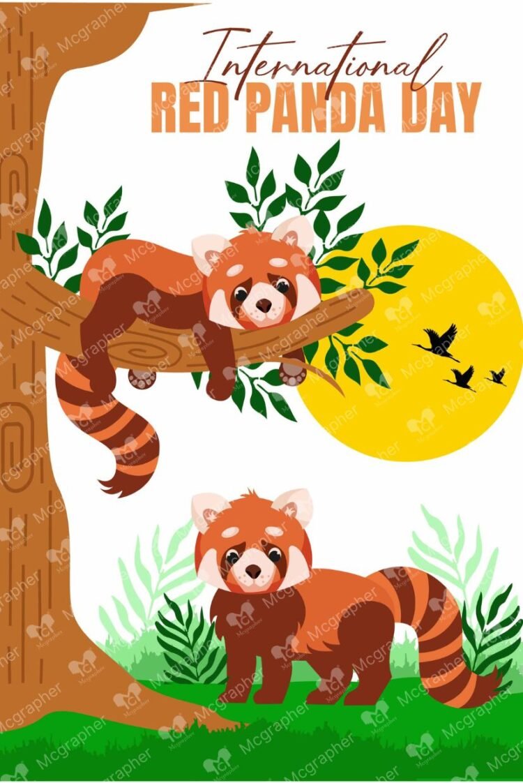 International Red Panda Day Conservation illustration