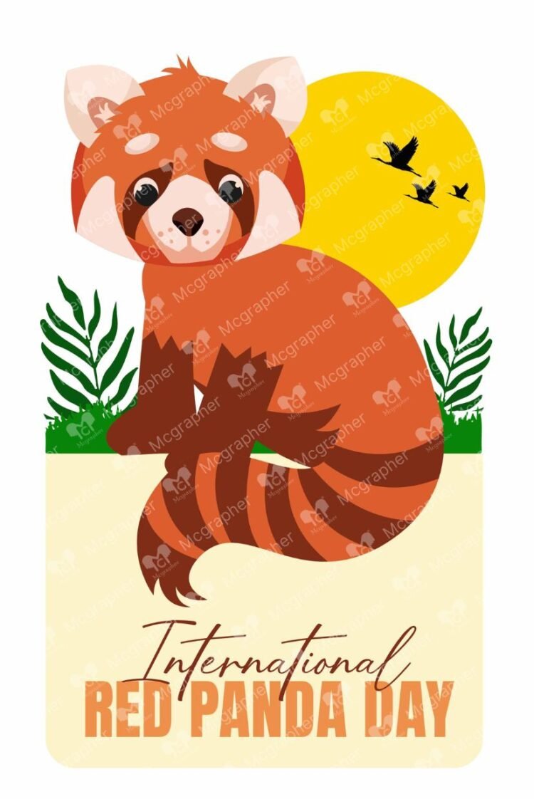 International Red Panda Day Species illustration