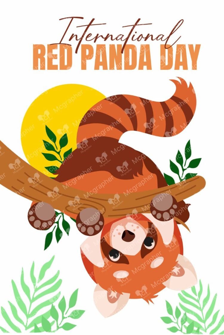 World Red Panda Day save illustration