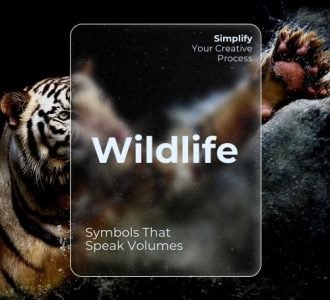 Wildlife thumbnail for Videos